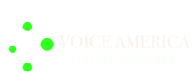 Virtual Assistance Services